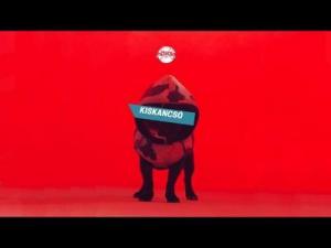 HŐSÖK – Kiskancsó