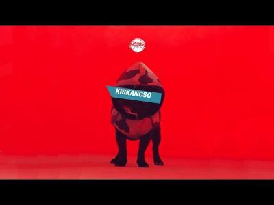 HŐSÖK – Kiskancsó