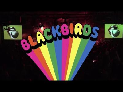 The BlackBirds Promo 2019