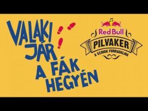 PILVAKER – Valaki jár a fák hegyén