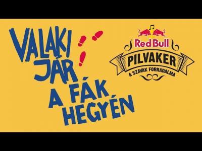 PILVAKER – Valaki jár a fák hegyén