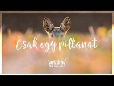 VARÁZSLATOS MAGYARORSZÁG – Csak egy pillanat