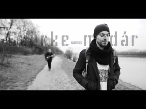 HAJDU ERIK – Szürke madár