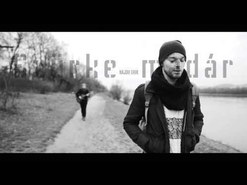 HAJDU ERIK – Szürke madár