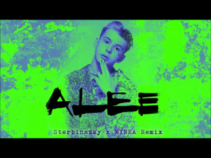 ALEE – Nincsen gond | Sterbinszky X Mynea Remix